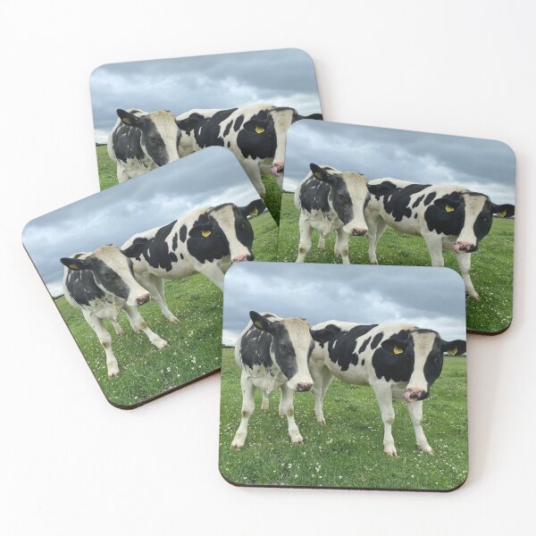 Item preview, Curious Cows, Glapthorn, Northamptonshire designed and sold by Kate Anderson Art.