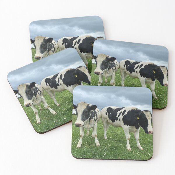 Item preview, Curious Cows, Glapthorn, Northamptonshire designed and sold by Kate Anderson Art.