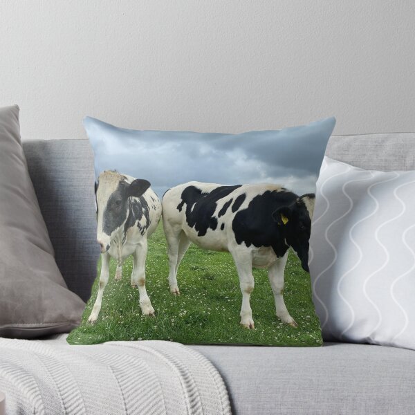 Item preview, Curious Cows, Glapthorn, Northamptonshire designed and sold by Kate Anderson Art.
