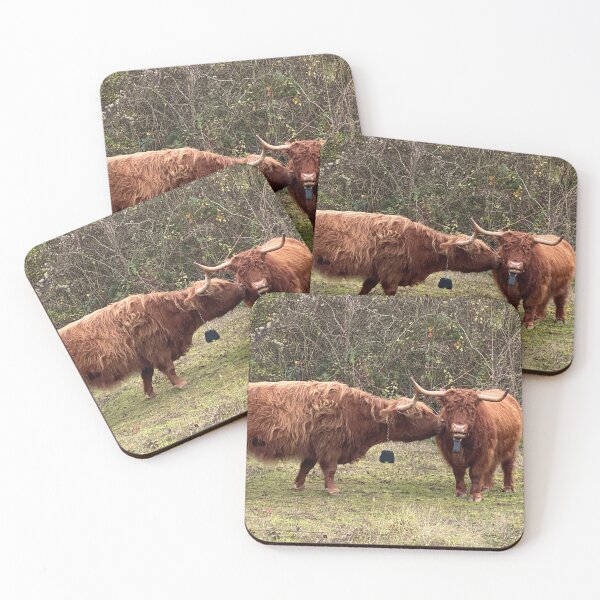 Item preview, Curious Longhorn Cattle, Old Sulehay Forest, Northamptonshire, UK designed and sold by Kate Anderson Art.