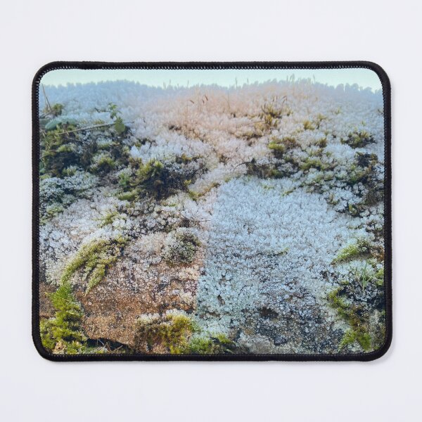 Item preview, Old Stone Wall, East Carlton, Northamptonshire, UK designed and sold by Kate Anderson Art.