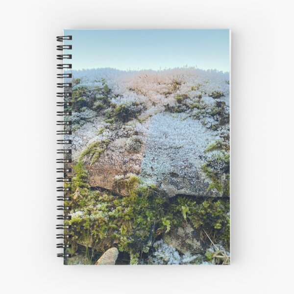 Item preview, Old Stone Wall, East Carlton, Northamptonshire, UK designed and sold by Kate Anderson Art.