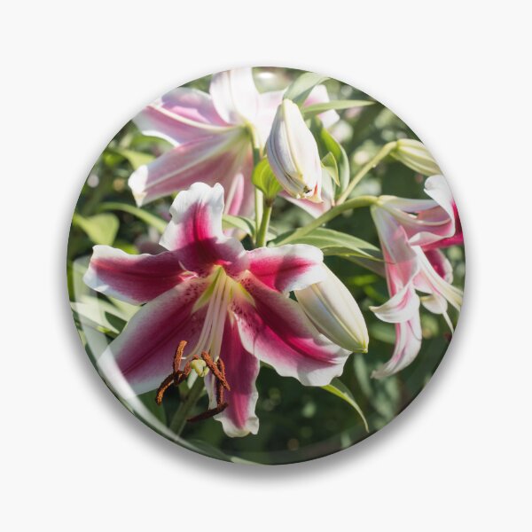 Item preview, Sunshiny Stargazer Lilies Garden Superbloom designed and sold by Georgia Mizuleva.