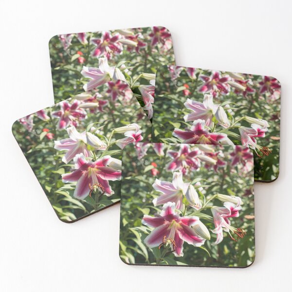 Item preview, Sunshiny Stargazer Lilies Garden Superbloom designed and sold by Georgia Mizuleva.