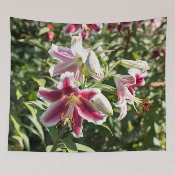 Item preview, Sunshiny Stargazer Lilies Garden Superbloom designed and sold by Georgia Mizuleva.