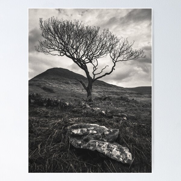 Item preview, Mull Solitude designed and sold by David Bowman.