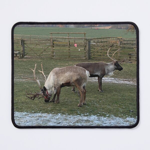 Item preview, Reindeer, East Carlton, Northamptonshire, UK designed and sold by Kate Anderson Art.