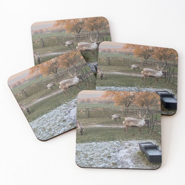 Item preview, Reindeer, East Carlton, Northamptonshire, UK designed and sold by Kate Anderson Art.