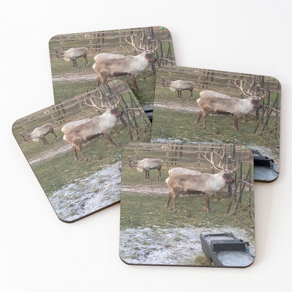Item preview, Reindeer, East Carlton, Northamptonshire, UK designed and sold by Kate Anderson Art.