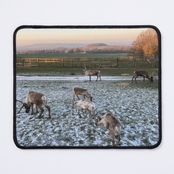 Item preview, Reindeer, East Carlton, Northamptonshire, UK designed and sold by Kate Anderson Art.