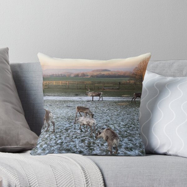 Item preview, Reindeer, East Carlton, Northamptonshire, UK designed and sold by Kate Anderson Art.