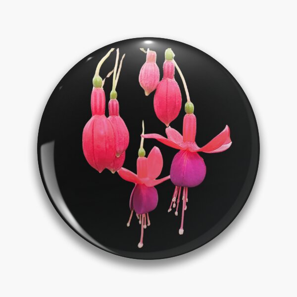 Artikelvorschau, Hybrid Fuchsia Bloom Blumen Kunstdruck entworfen und verkauft von bvdesignart.