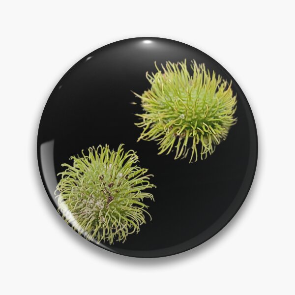 Item preview, Rambutan Exotic Fruit Art Print designed and sold by bvdesignart.