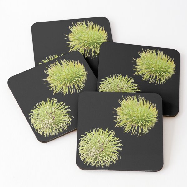 Item preview, Rambutan Exotic Fruit Art Print designed and sold by bvdesignart.