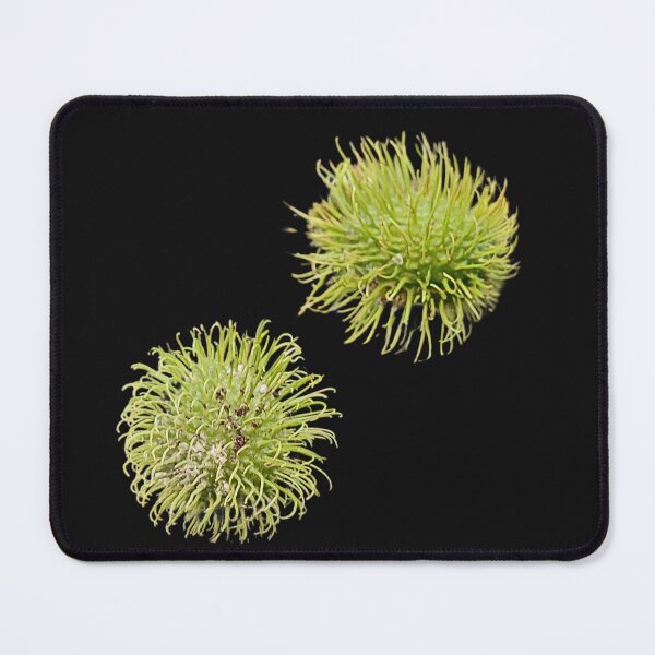 Item preview, Rambutan Exotic Fruit Art Print designed and sold by bvdesignart.