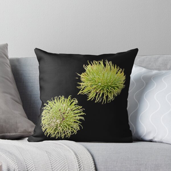 Item preview, Rambutan Exotic Fruit Art Print designed and sold by bvdesignart.