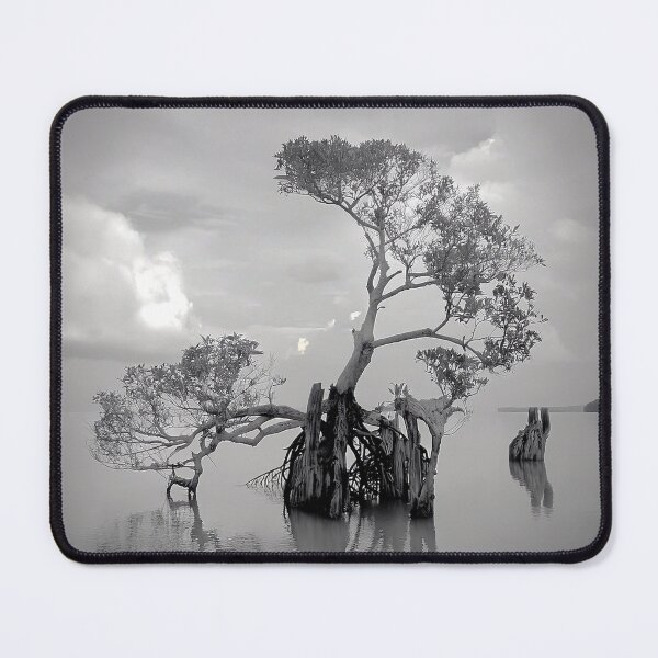 Item preview, Mangrove designed and sold by andreisky.