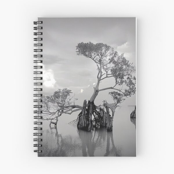 Item preview, Mangrove designed and sold by andreisky.