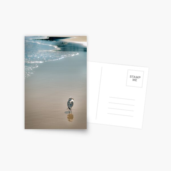 Item preview, Shoreline Solitude designed and sold by peaceriverphoto.