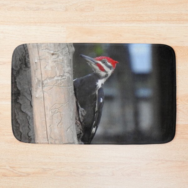 Item preview, Pileated Woodpecker designed and sold by priesterjen.