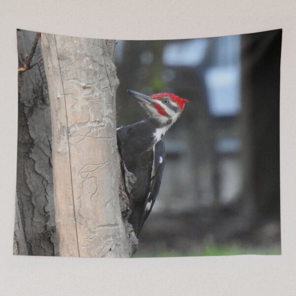 Item preview, Pileated Woodpecker designed and sold by priesterjen.
