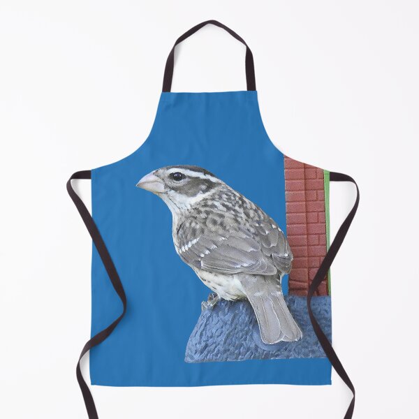 Item preview, Rose-breasted Grosbeak Female designed and sold by priesterjen.