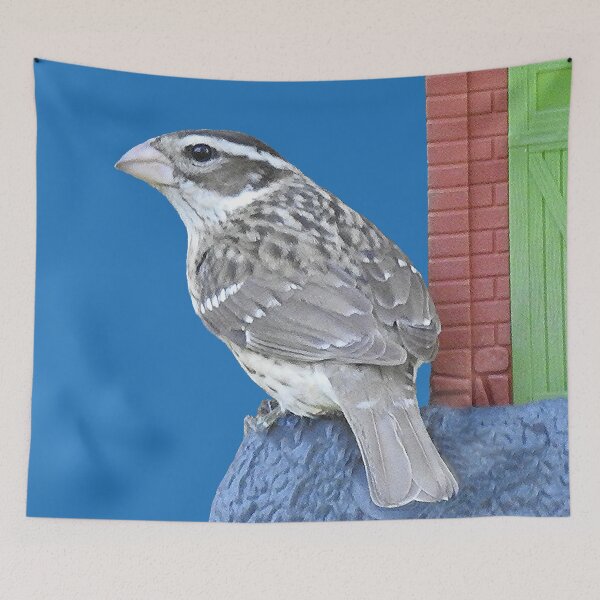 Item preview, Rose-breasted Grosbeak Female designed and sold by priesterjen.
