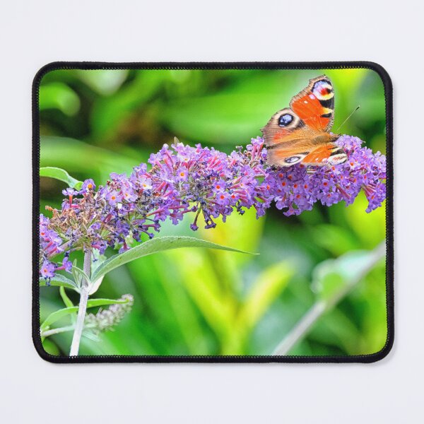 Item preview, Peacock butterfly on butterfly bush designed and sold by Photopat.