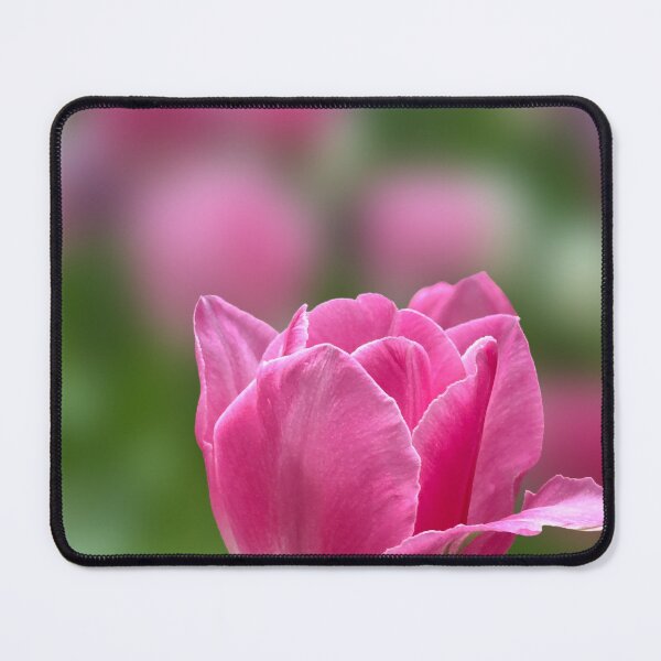 Item preview, Elegant Pink Tulip Bloom designed and sold by PorRayong.