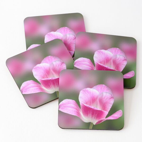 Item preview, Elegant Pink Tulip Bloom. designed and sold by PorRayong.