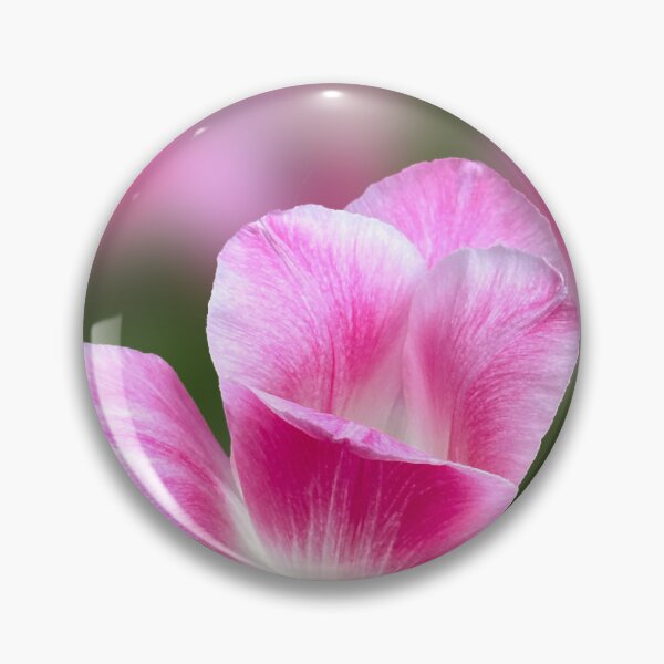 Item preview, Elegant Pink Tulip Bloom. designed and sold by PorRayong.