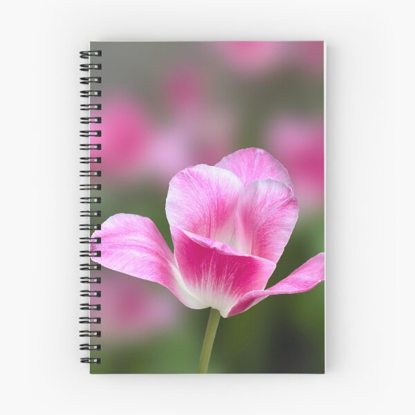 Item preview, Elegant Pink Tulip Bloom. designed and sold by PorRayong.