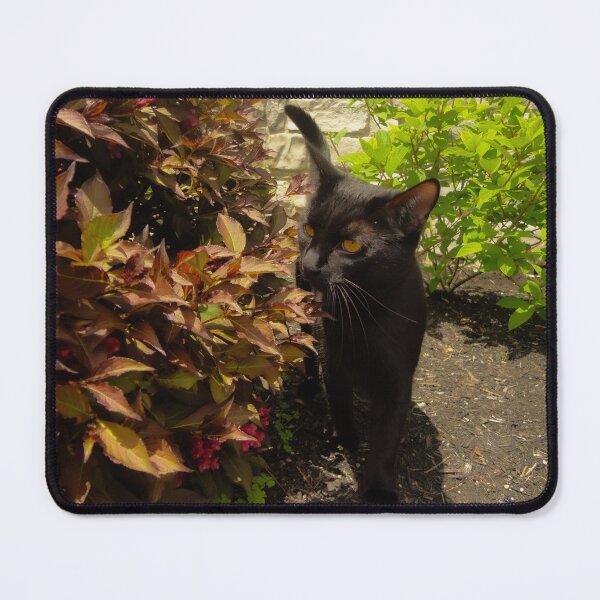 Item preview, Curious Kitten in the Garden designed and sold by ejtal.