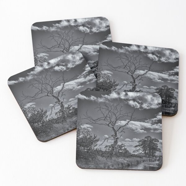 Item preview, The Lightning Tree designed and sold by Tom McPherson Photography.