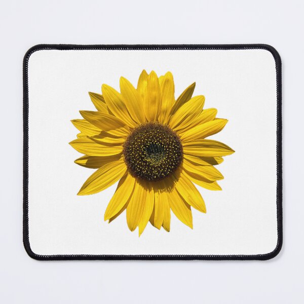 Item preview, Common Yellow Sunflower, Helianthus Annuus designed and sold by Comsworth.