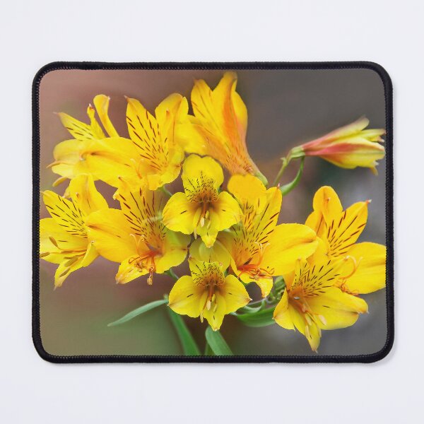 Item preview, Glowing Bright designed and sold by heatherfriedman.