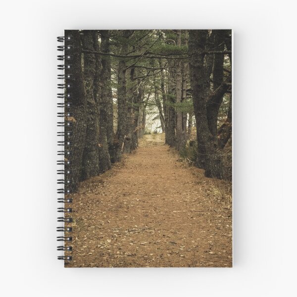 Item preview, Dark Path heading towards the light designed and sold by Roxane Bay.