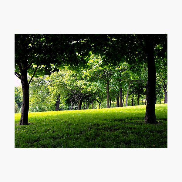 Aperçu de l'œuvre Peaceful créée et vendue par Jan Tribe.