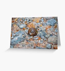 A Snail's Pace Greeting Card