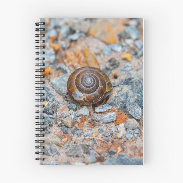 Item preview, A Snail's Pace designed and sold by LucaArden.