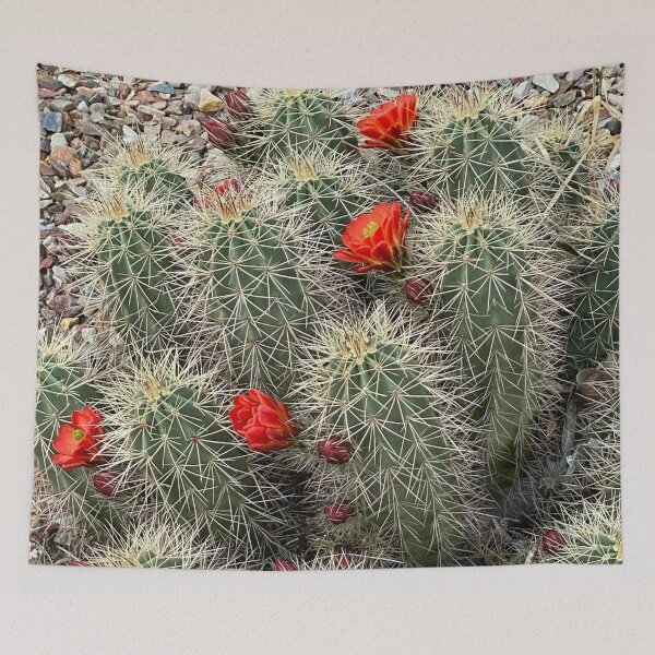 Item preview, Cactus With Red Flowers designed and sold by pinkyjainpan.