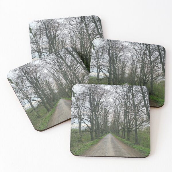 Item preview, A dirt road winds through a wooded landscape with trees on both sides at the Maschsee Hannover designed and sold by TravelLensPro.