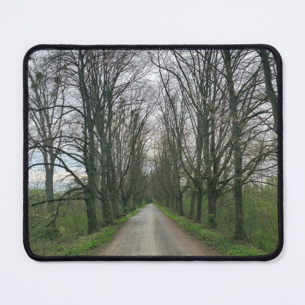 Item preview, A dirt road winds through a wooded landscape with trees on both sides at the Maschsee Hannover designed and sold by TravelLensPro.