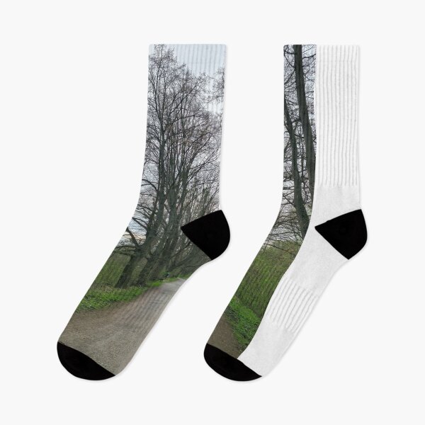 Item preview, A dirt road winds through a wooded landscape with trees on both sides at the Maschsee Hannover designed and sold by TravelLensPro.