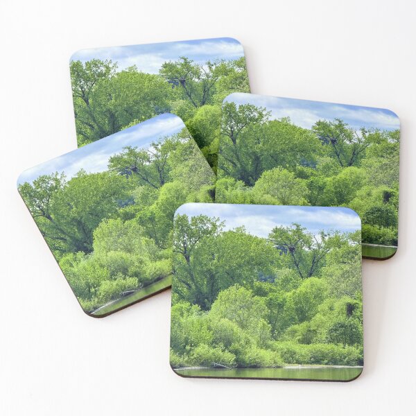 Item preview, Trees on the water designed and sold by Photographer Steve.