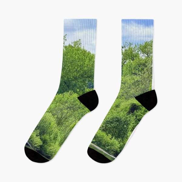 Item preview, Trees on the water designed and sold by Photographer Steve.