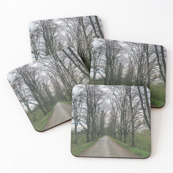 Item preview, A rustic field path at the Maschsee Hannover surrounded by trees in a natural forest landscape designed and sold by TravelLensPro.