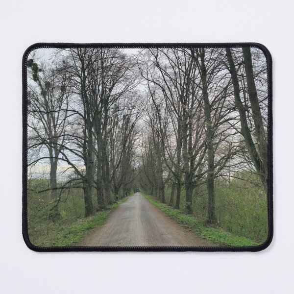 Item preview, A rustic field path at the Maschsee Hannover surrounded by trees in a natural forest landscape designed and sold by TravelLensPro.