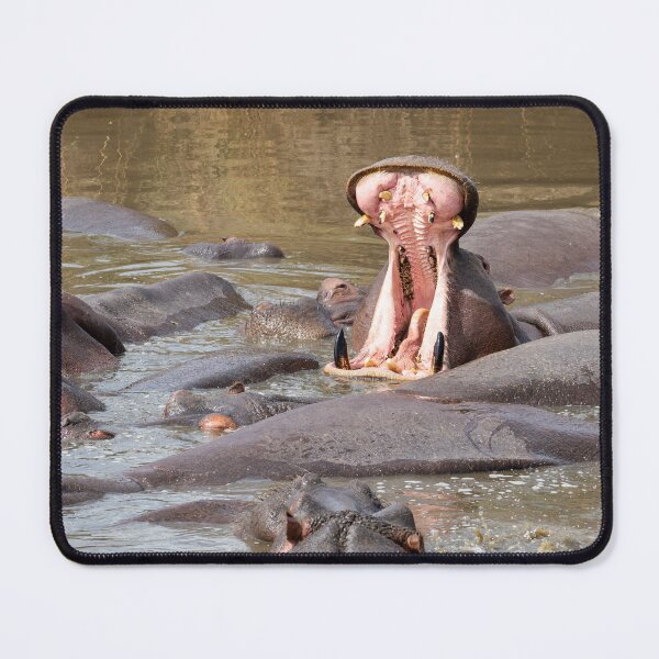 Item preview, Big Mouth Hippo – Wild Africa Moment designed and sold by TravelLensPro.