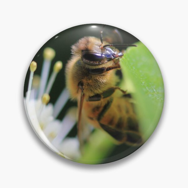 Item preview, Look Into My Eye designed and sold by Gary Horner.